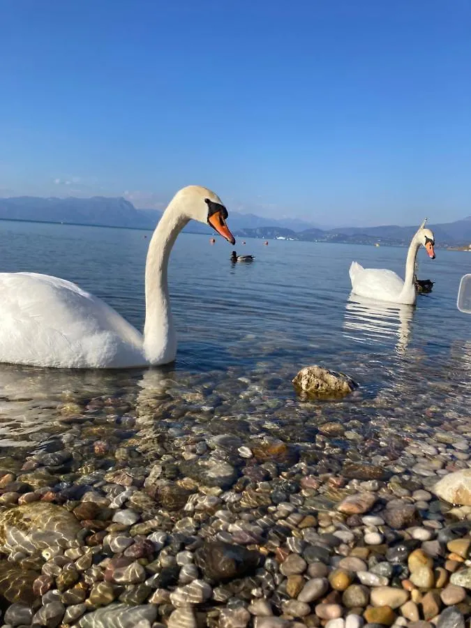 Garda Art&Lake Peschiera del Garda